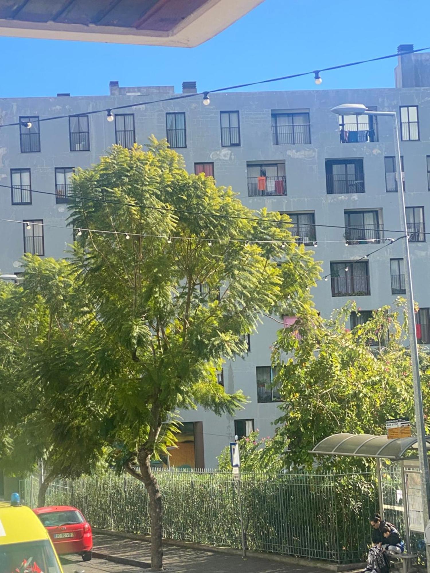 Apartamento Funchal Varzea Park Exterior foto